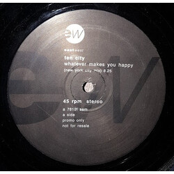 Ten City Whatever Makes You Happy VINYL 12" USED