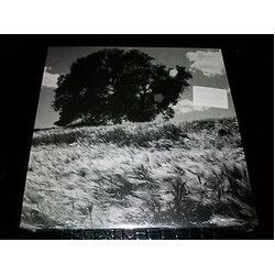Ancestors (4) Invisible White USED VINYL EP 12INCH