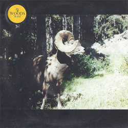 Woods (2) Ram Vinyl 7" USED