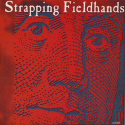 Strapping Fieldhands / Simple Ones Airbath / Forget You USED VINYL 7INCH 45 RPM