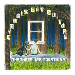 Cymbals Eat Guitars Why There Are Mountains Vinyl LP USED
