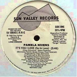 Pamela Nivens It's You I Love (So In Love) USED VINYL 12INCH 33 S RPM PROMO