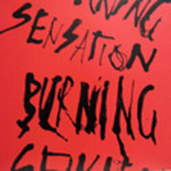 Burning Sensation (2) Burning Sensation Vinyl LP USED
