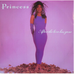 Princess After The Love Has Gone VINYL 12" USED