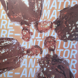 Everything Everything Re-Animator Vinyl LP USED