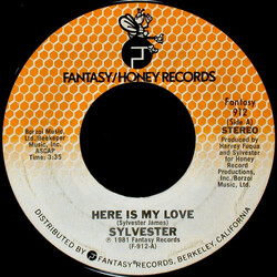 Sylvester Here Is My Love USED VINYL 7INCH 45 RPM STEREO