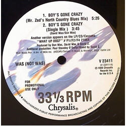 Was (Not Was) Boy's Gone Crazy USED VINYL 12INCH PROMO