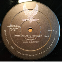 Brian Auger Nothing Lasts Forever USED VINYL 12INCH 45 RPM SINGLE PROMO