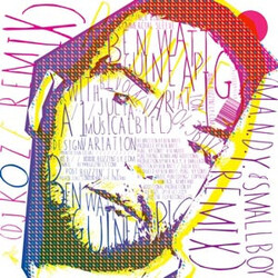 Ben Watt Guinea Pig (Remixes) USED VINYL 12INCH