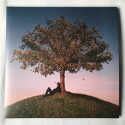 slowthai Tyron USED VINYL 12INCH 33 S RPM STEREO + 12INCH 33 S RPM STEREO DELUXE EDITION