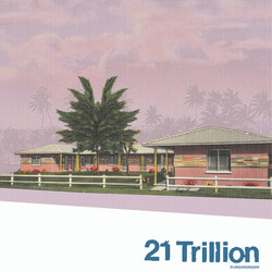 Twenty One Trillion 21,000,000,000,000 USED VINYL 12INCH 33 S RPM
