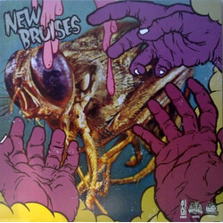 New Bruises / Stolen Bikes Ride Faster New Bruises / Stolen Bikes Ride Faster USED VINYL 7INCH REPRESS