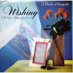 A Flock Of Seagulls Wishing (If I Had A Photograph Of You) USED VINYL 12INCH 33 S RPM PROMO
