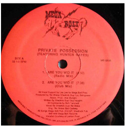 Private Possession / Hunter Hayes Are You Wid It VINYL 12" USED