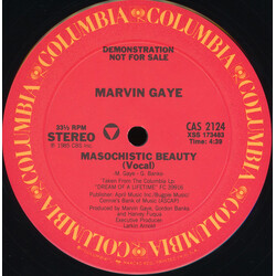 Marvin Gaye Masochistic Beauty VINYL 12" USED
