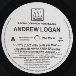 Andrew Logan Living In A World / Seems Like We're Going Nowhere VINYL 12" USED
