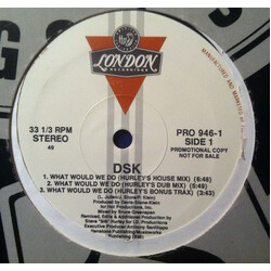 DSK What Would We Do VINYL 12" USED