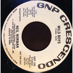 Neil Norman Wild Boys USED VINYL 7INCH 45 RPM PROMO