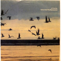 Echo & The Bunnymen A Promise USED VINYL 7INCH 45 RPM SINGLE