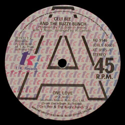 Celi Bee & The Buzzy Bunch One Love / Hurt Me, Hurt Me VINYL 12" USED
