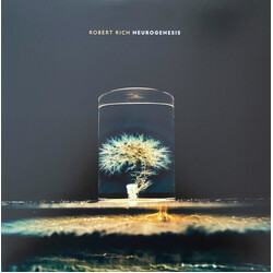 Robert Rich Neurogenesis Vinyl LP USED