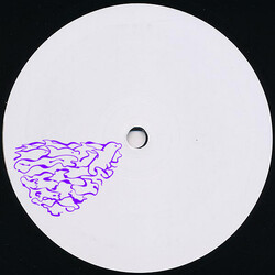 Guava (4) The Dolphins Are Back In Venice USED VINYL 12INCH 33 S RPM EP