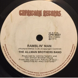 The Allman Brothers Band Ramblin' Man / Pony Boy USED VINYL 7INCH 45 RPM SINGLE