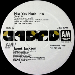 Janet Jackson Miss You Much Vinyl 12" USED