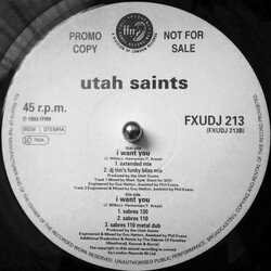 Utah Saints I Want You USED VINYL 12INCH PROMO 33 S RPM