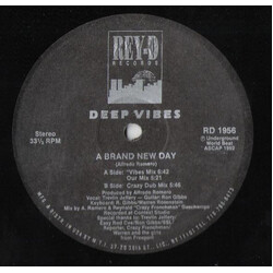 Deep Vibes A Brand New Day VINYL 12" USED
