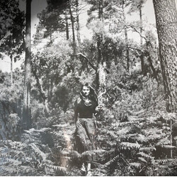 Eliane Radigue Jouet Electronique / Elemental I USED VINYL 12INCH 33 S RPM REISSUE