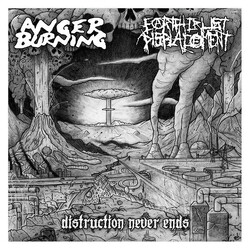 Anger Burning / Earth Crust Displacement Distruction Never Ends USED VINYL 12INCH 45 RPM