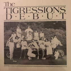 The Tigressions The Tigressions Debut Vinyl LP USED