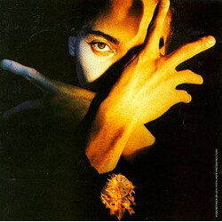 Terence Trent D'Arby Terence Trent D'Arby's Neither Fish Nor Flesh: A Soundtrack Of Love, Faith, Hope And Destruction Vinyl LP USED
