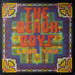 The Beach Boys Love You Vinyl LP USED