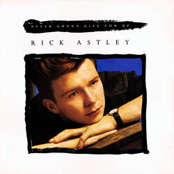 Rick Astley Never Gonna Give You Up VINYL 12" USED