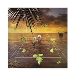 Sun Araw Beach Head Vinyl LP USED