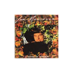 Van Morrison A Sense Of Wonder Vinyl LP USED