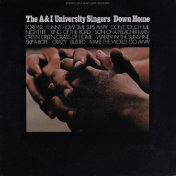 The A & I University Singers Down Home Vinyl LP USED
