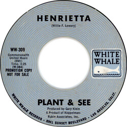 Plant And See Henrietta / Put Out My Fire USED VINYL 7INCH 45 RPM PROMO