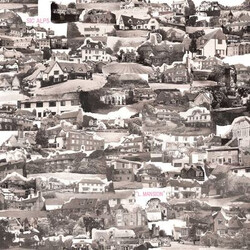 Sic Alps L. Mansion USED VINYL 7INCH SINGLE 45 RPM