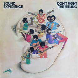 Sound Experience (2) Don't Fight The Feeling Vinyl LP USED