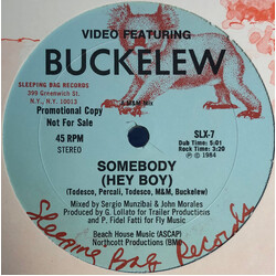 Video / Dyan Buckelew Somebody (Hey Boy) USED VINYL 12INCH PROMO 45 RPM