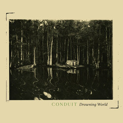 Conduit (2) Drowning World Vinyl LP USED