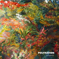 Polynation Allogamy USED VINYL 12INCH 33 S RPM EP