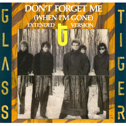 Glass Tiger Don't Forget Me (When I'm Gone) (Extended Version) Vinyl 12" USED