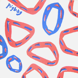Pigbag Sunny Day VINYL 12" USED