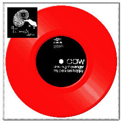 All Automatic Wash Dark Night Avenger USED VINYL 7INCH