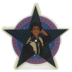 Gary Holton Catch A Falling Star USED VINYL 7INCH 45 RPM SHAPE SINGLE PICTURE DISC
