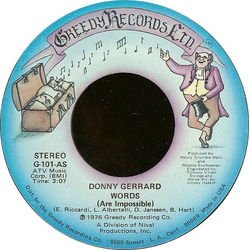 Donny Gerrard Words (Are Impossible) Vinyl 7" USED